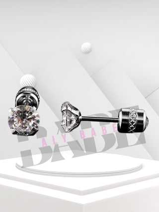 Zircon stainless steel stud earrings.